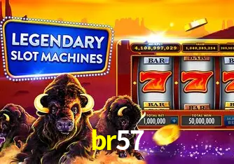 Descubra o Mundo do Cassino Online com br57